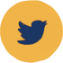 twitter link icon